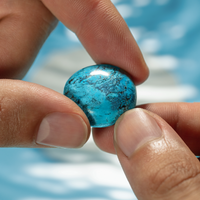 Thumbnail for Product Image