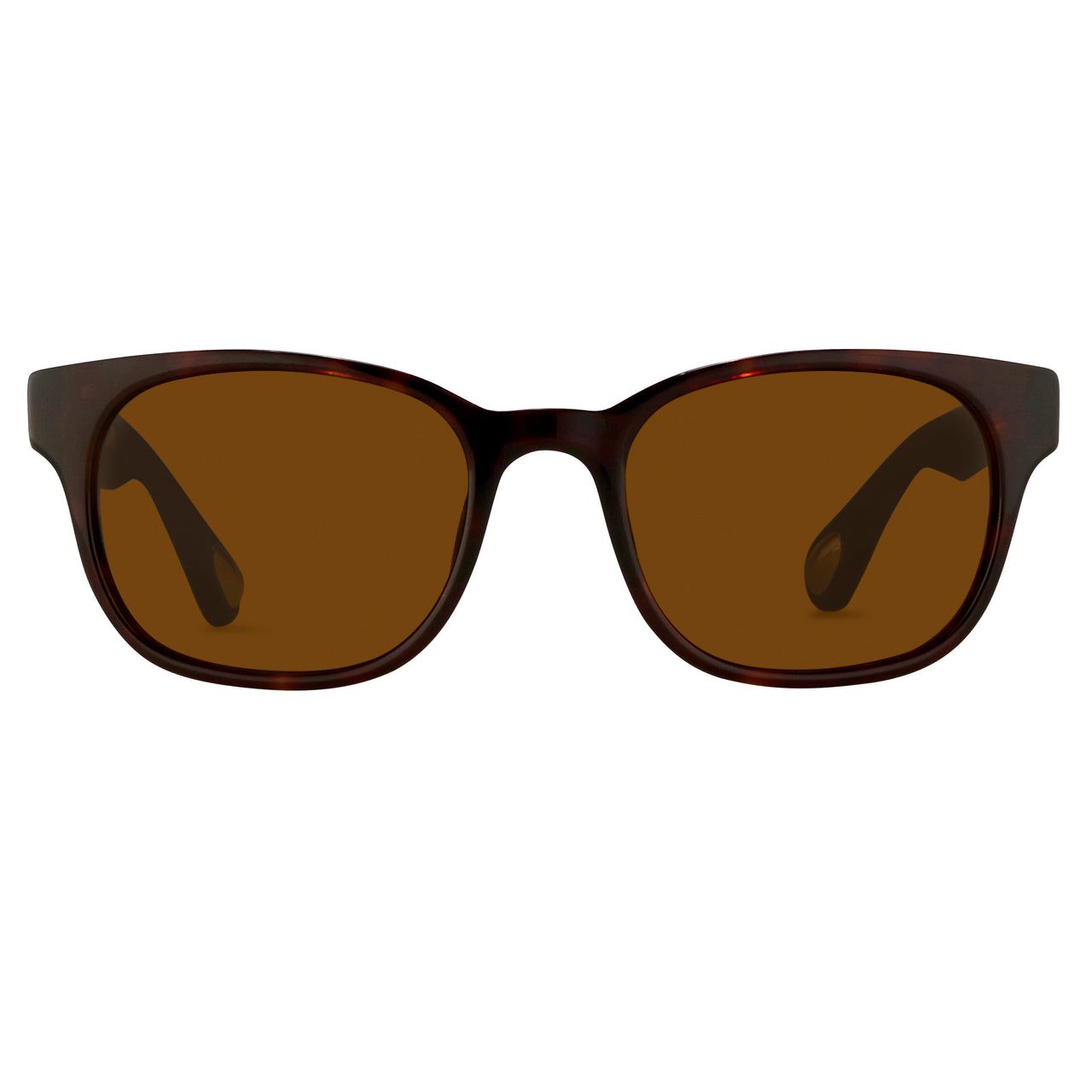 Ann Demeulemeester Sunglasses Rectangular Tortoise Shell and Brown