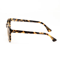 Thumbnail for Dries Van Noten x Linda Farrow Tortoiseshell Sunglasses DVN133C10SUN