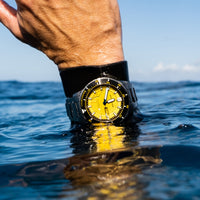 Thumbnail for Product Image