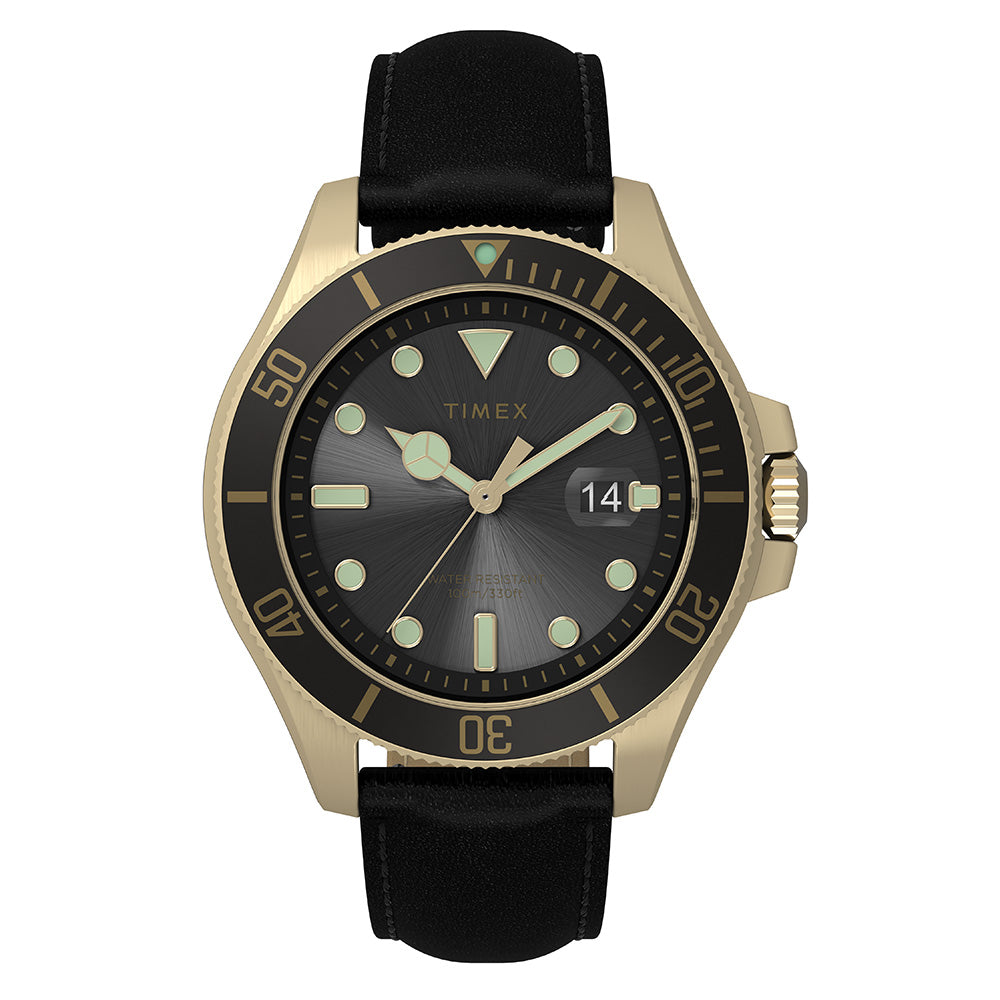 Timex Harborside Coast Men's Black Watch TW2V42200