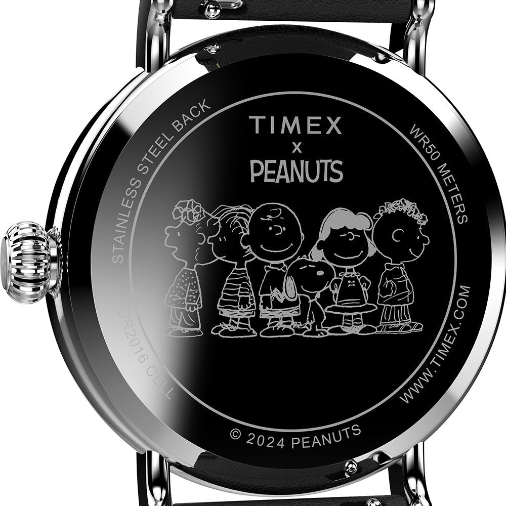 Timex Peanuts Waterbury Standard Men's Silver Watch TW2W45900