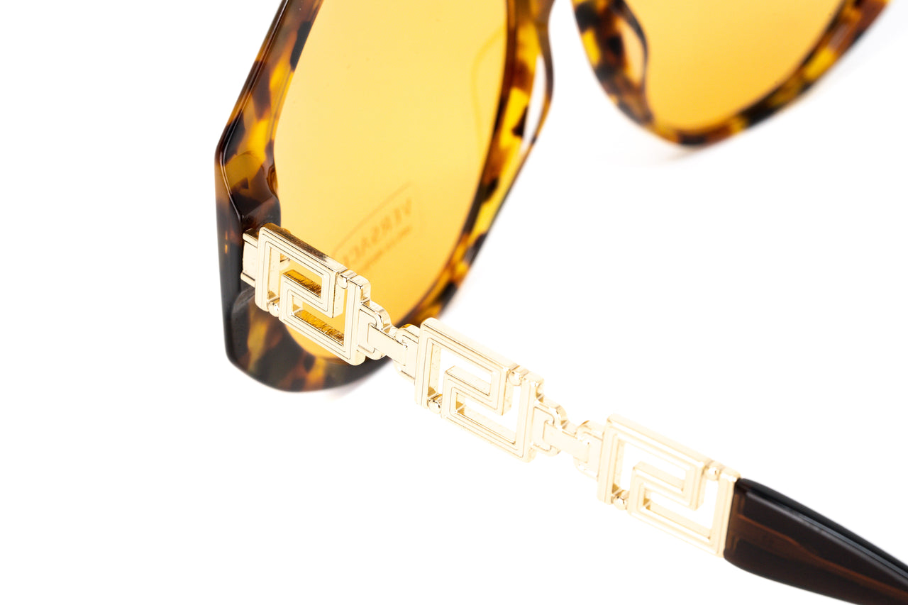 Versace women's Sunglasses VE43955119/7