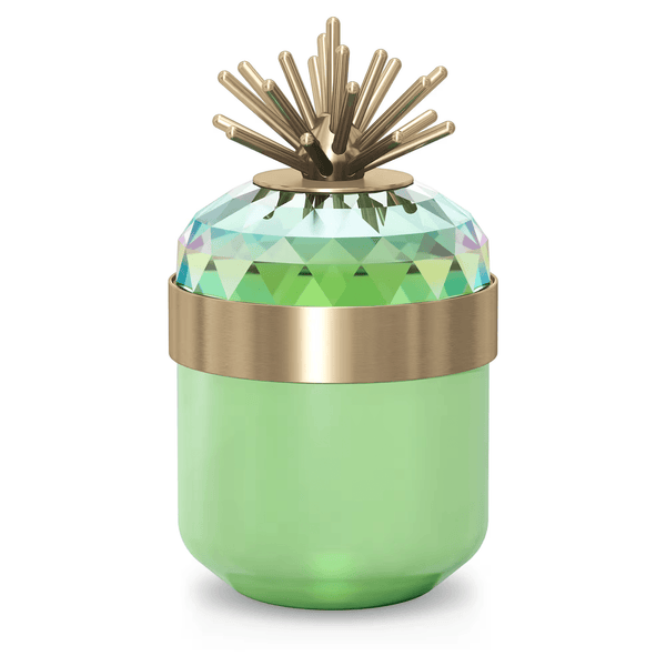 Swarovski Jungle Beats Light Green Decorative Box Andoki – Watches