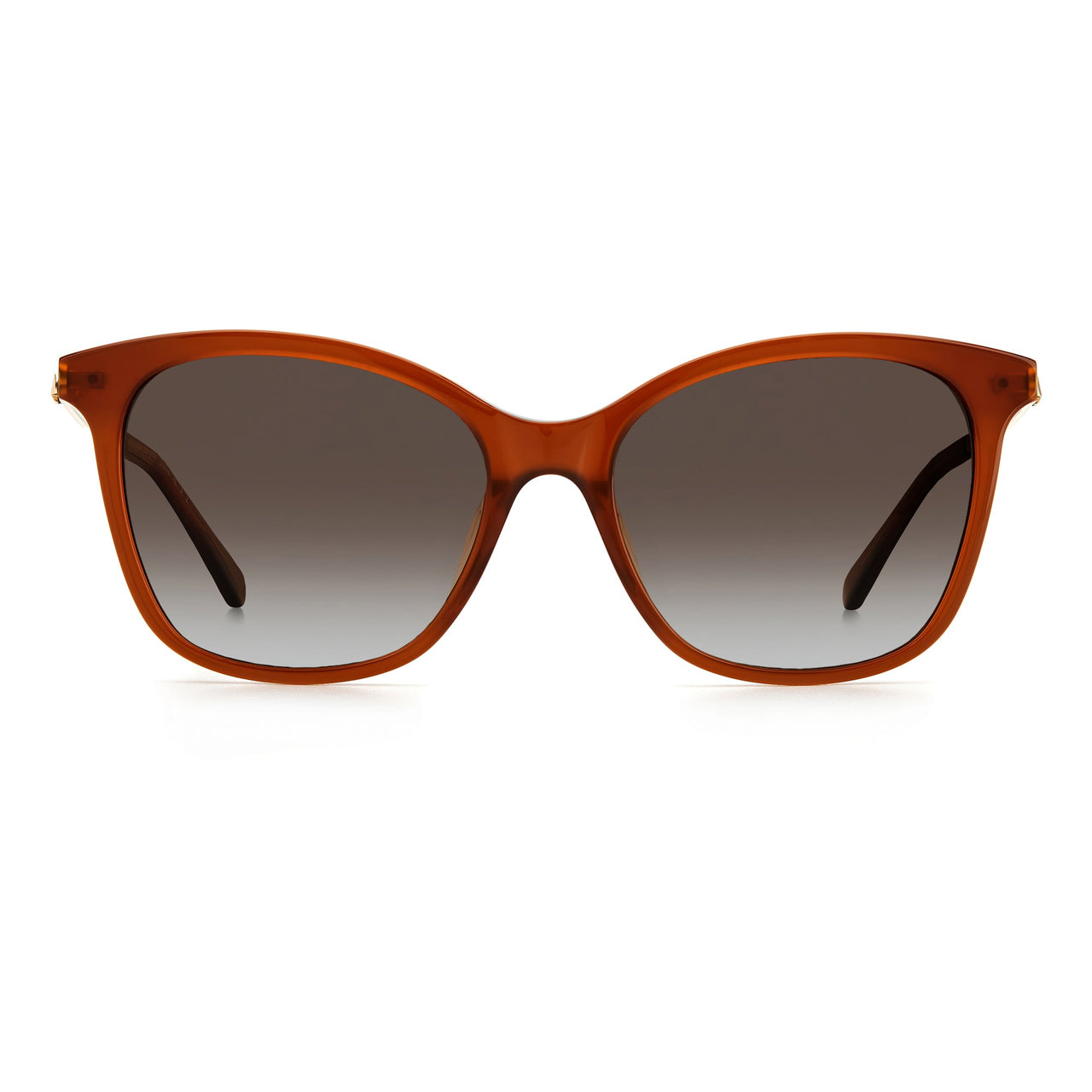 Sunglasses - Kate Spade DALILA/S 09Q 54LA Unisex Brown