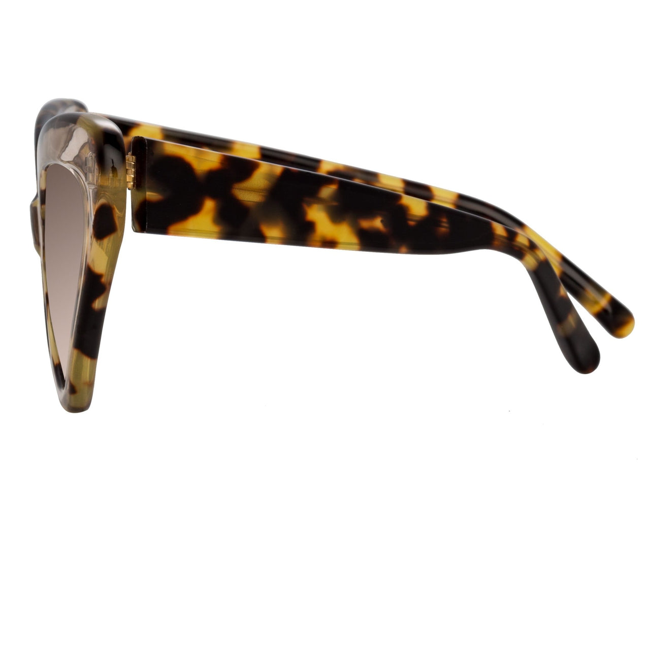 Erdem Women Sunglasses Cat Eye Clear Tortoiseshell With Brown Graduated Lenses - EDM29C1SUN - Watches & Crystals